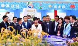 淮安食品爆料案件最新,揭露食品安全背后的惊人真相