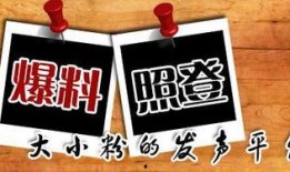 屯子最新爆料新闻,揭秘惊人内幕，事件真相令人震惊