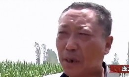 呼市吃瓜最新事件爆料新闻,揭秘最新爆料背后的真相与争议”