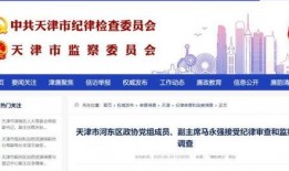 河北最新反腐爆料,多领域官员接连落马，揭开腐败黑幕